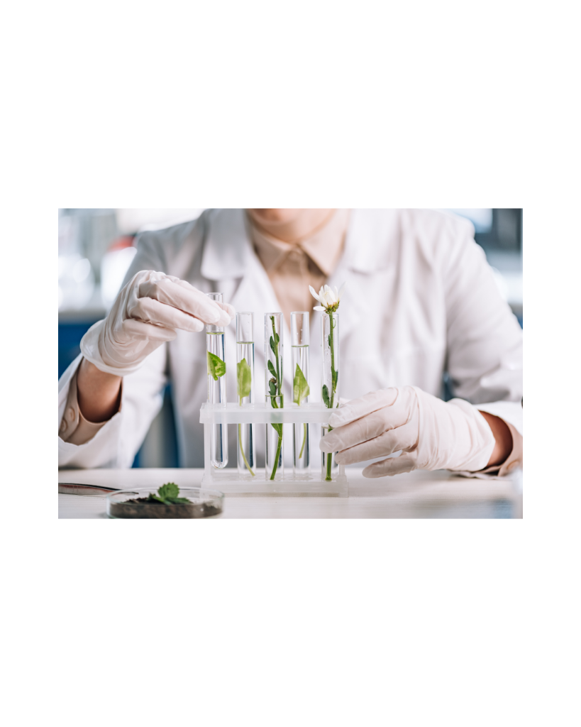 Scientist in a white coat and gloves examining botanical samples in glass test tubes, including green leaves and a white flower
